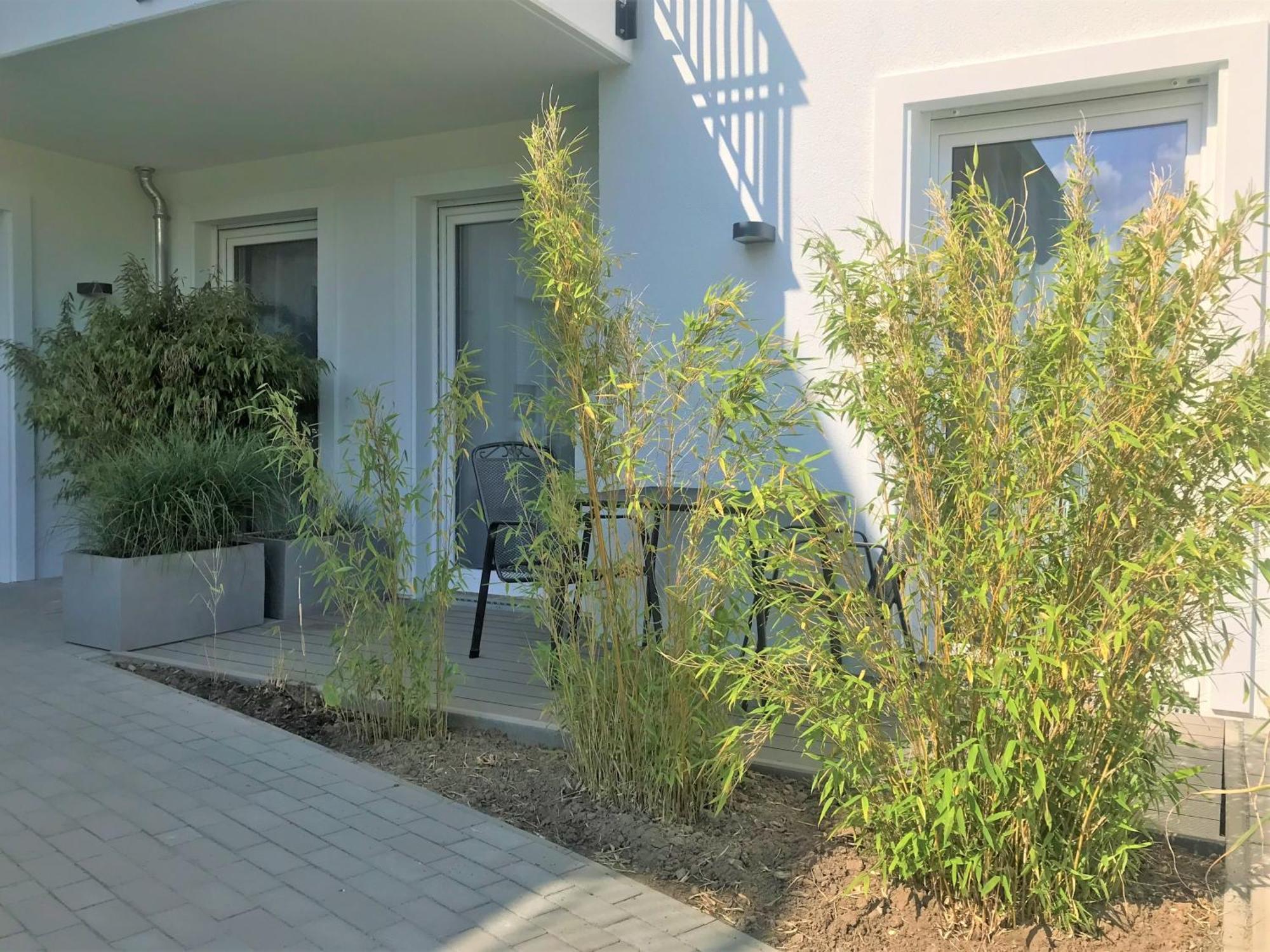 App 6, Strandresidenz Duenenperle Ostseebad Kühlungsborn Kültér fotó